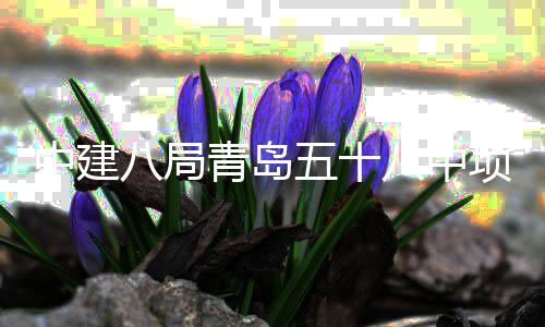 项目八局八中五十青岛全部中建主体封顶